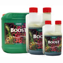 CANNA BOOST Accelerator