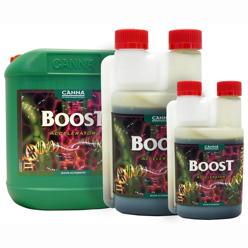 CANNA BOOST Accelerator