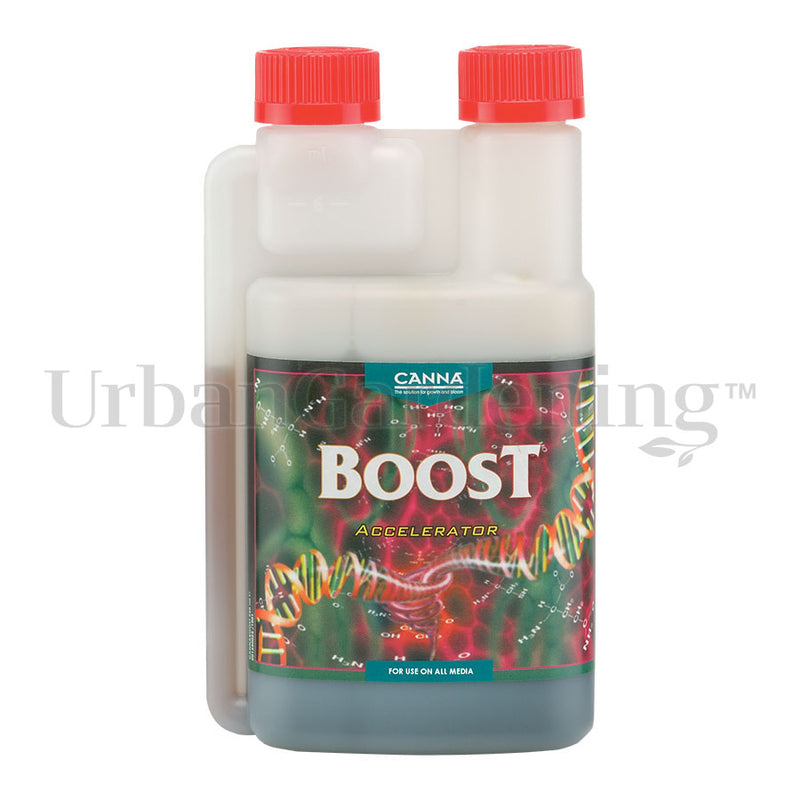 CANNA BOOST Accelerator